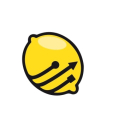Lemon Pro: profesjonalne usługi IT dla firm